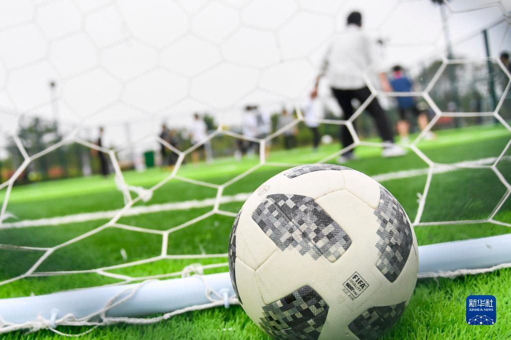 壓制對手的 壓制對手的