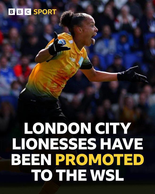 背景分析 背景分析