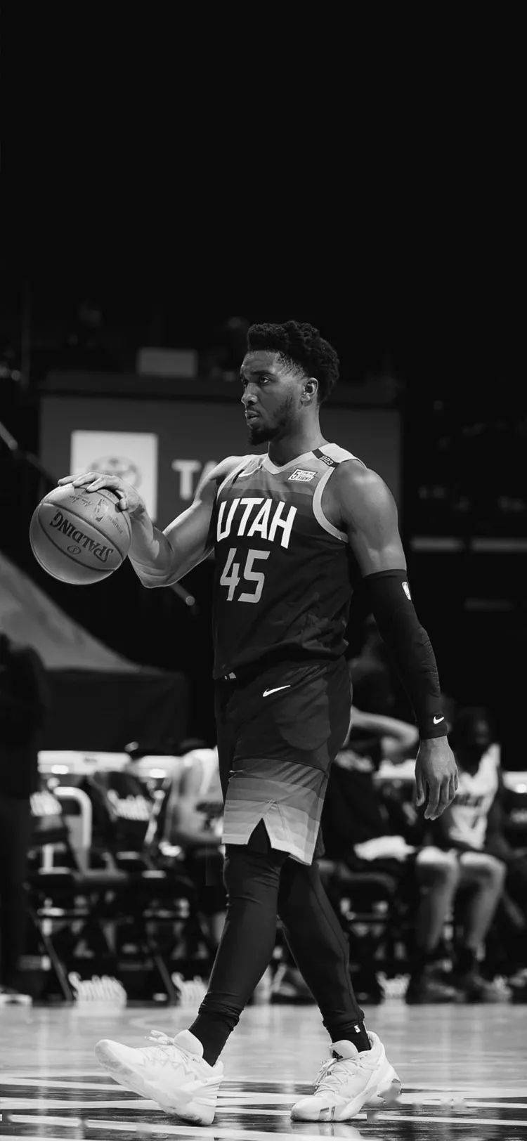 不仅吸引了 不仅吸引了