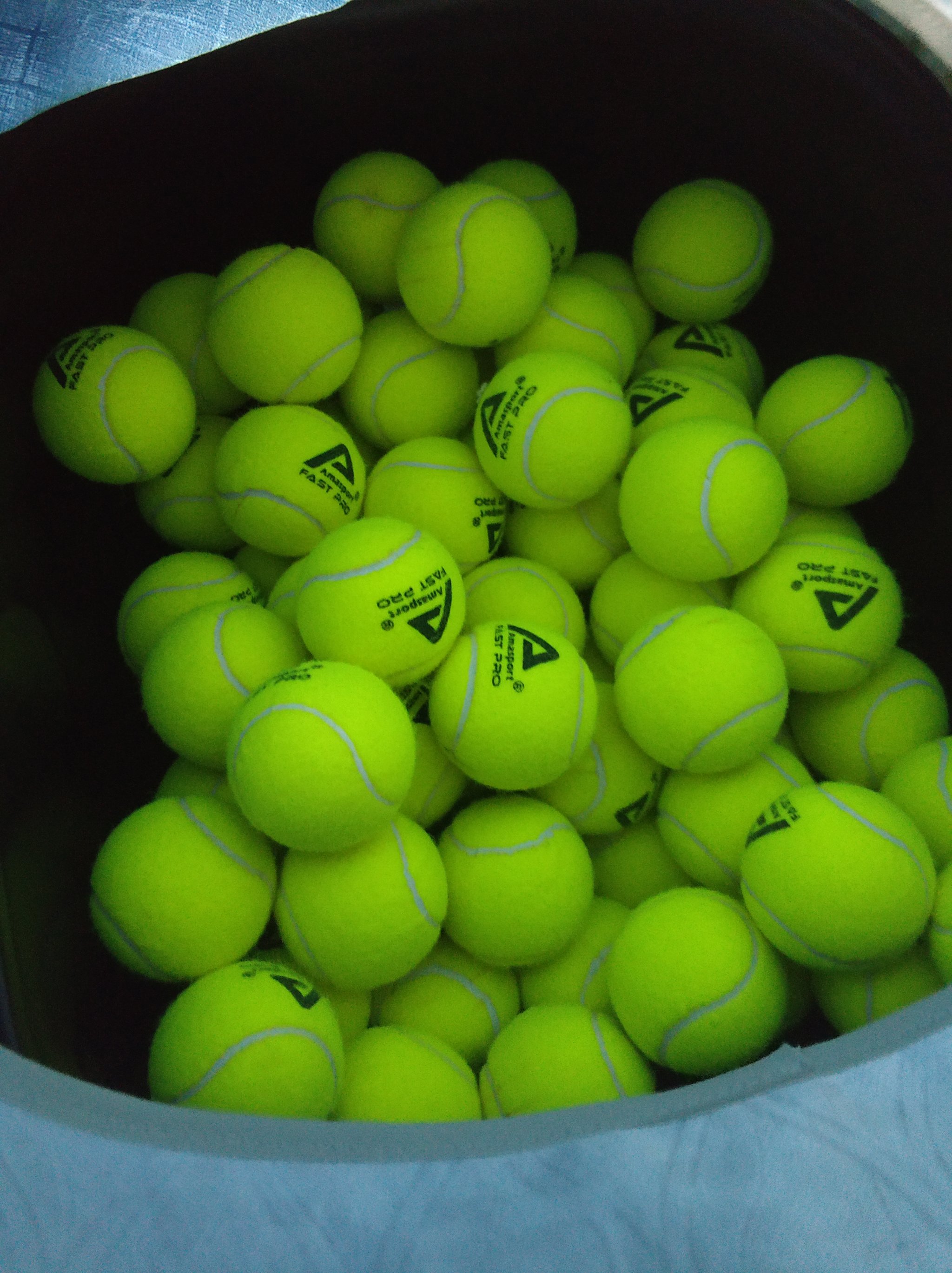 随后前扑完 随后前扑完